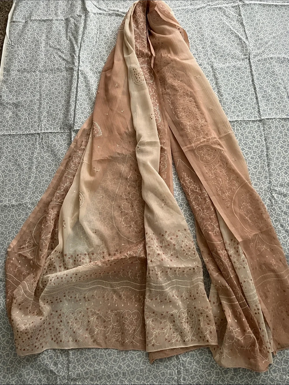 Embroidered Ombre Sheer Scarf in Blush and Cream